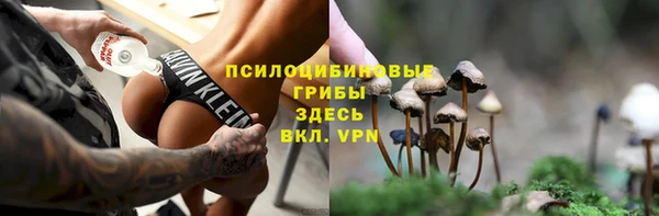 соль ск Надым