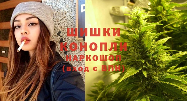 гидра Михайловка